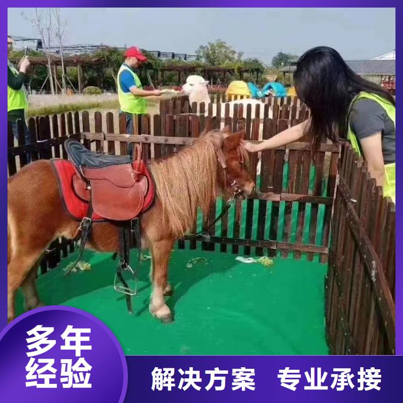 租赁马戏团表演全国承接