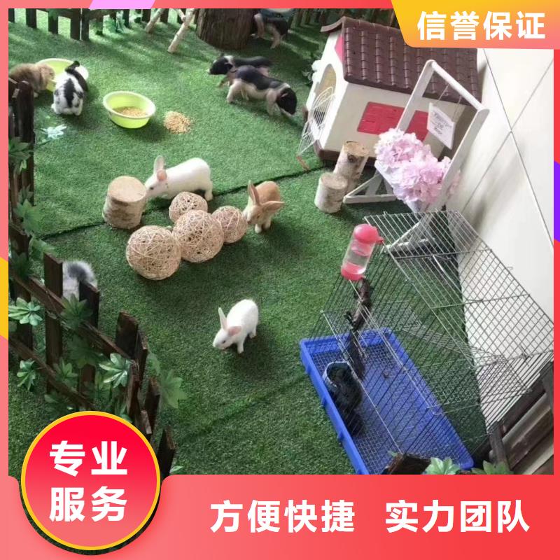 动物表演出租联系电话