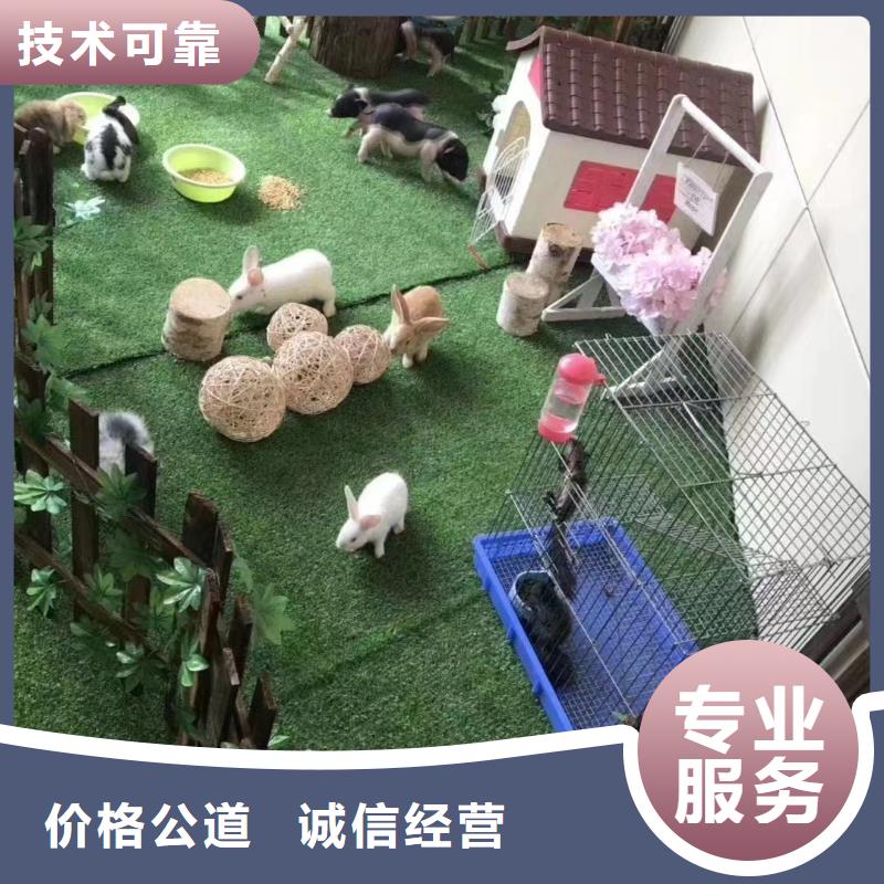动物表演租赁点击查看