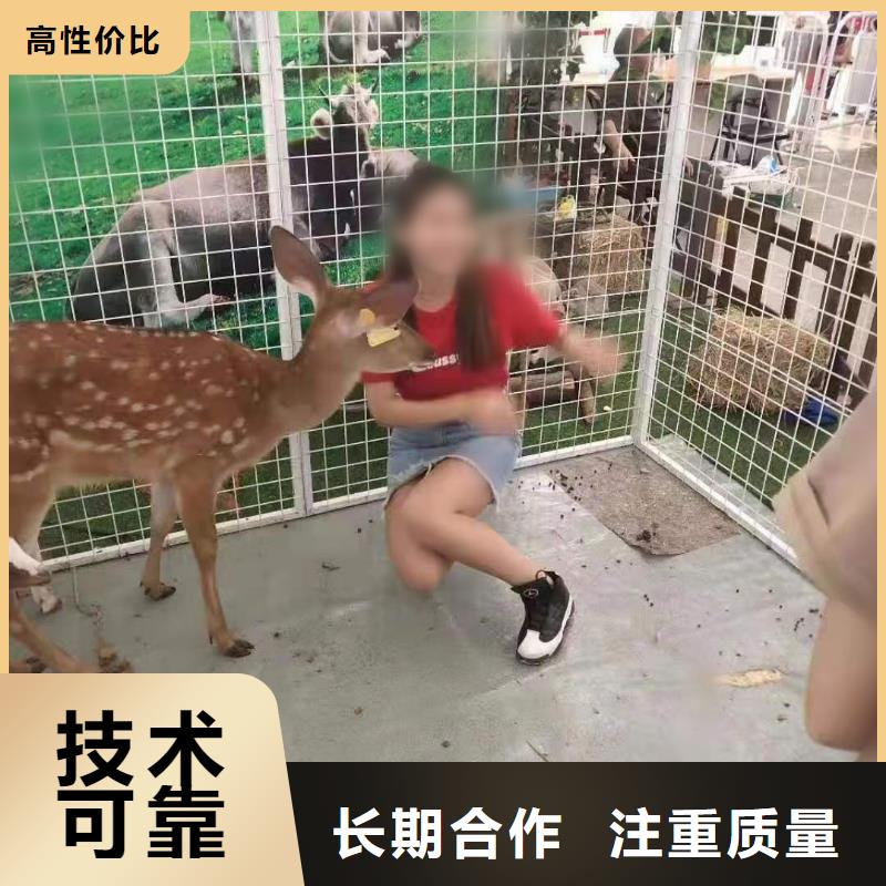 哪有出租马戏团表演的一手资源