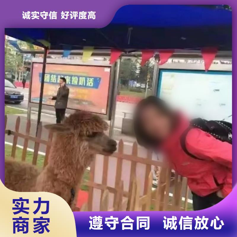 动物表演租赁联系方式