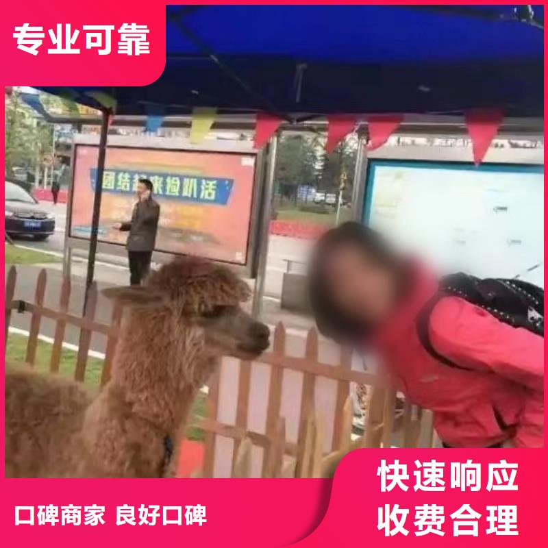 动物表演租赁