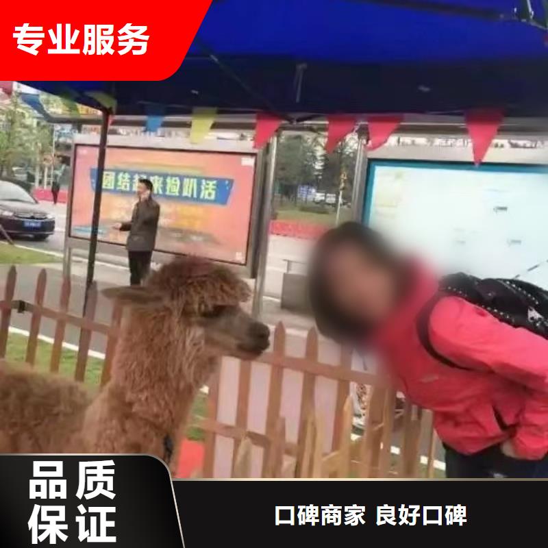环球飞车表演出租暖场活动