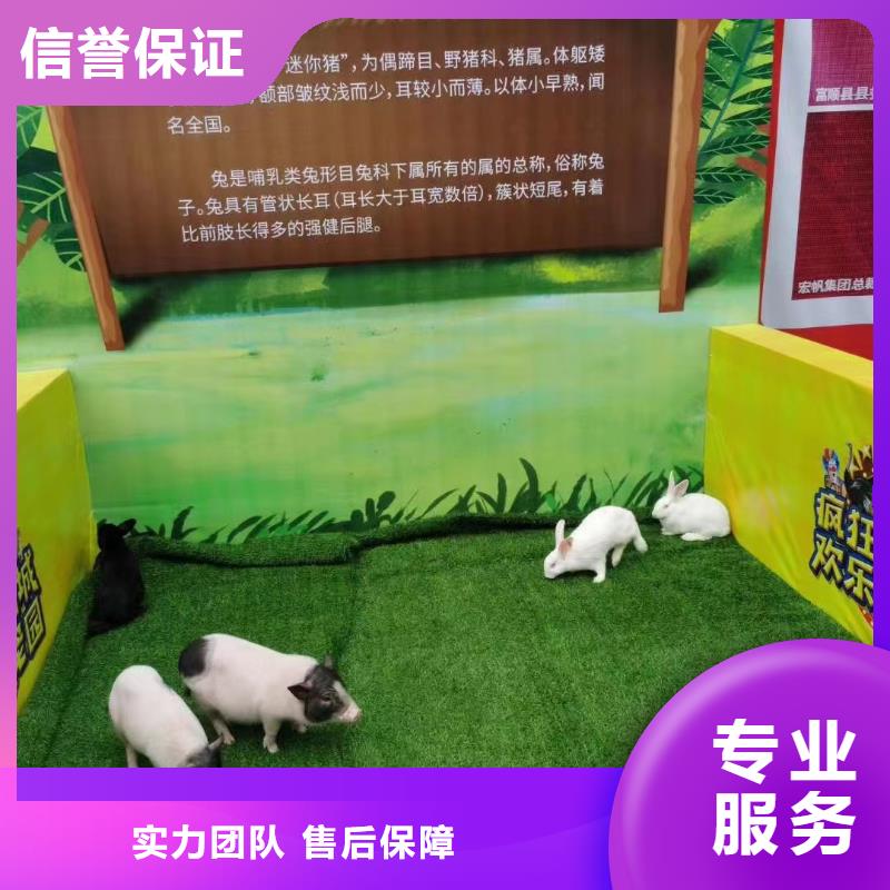 萌宠展租赁免费策划