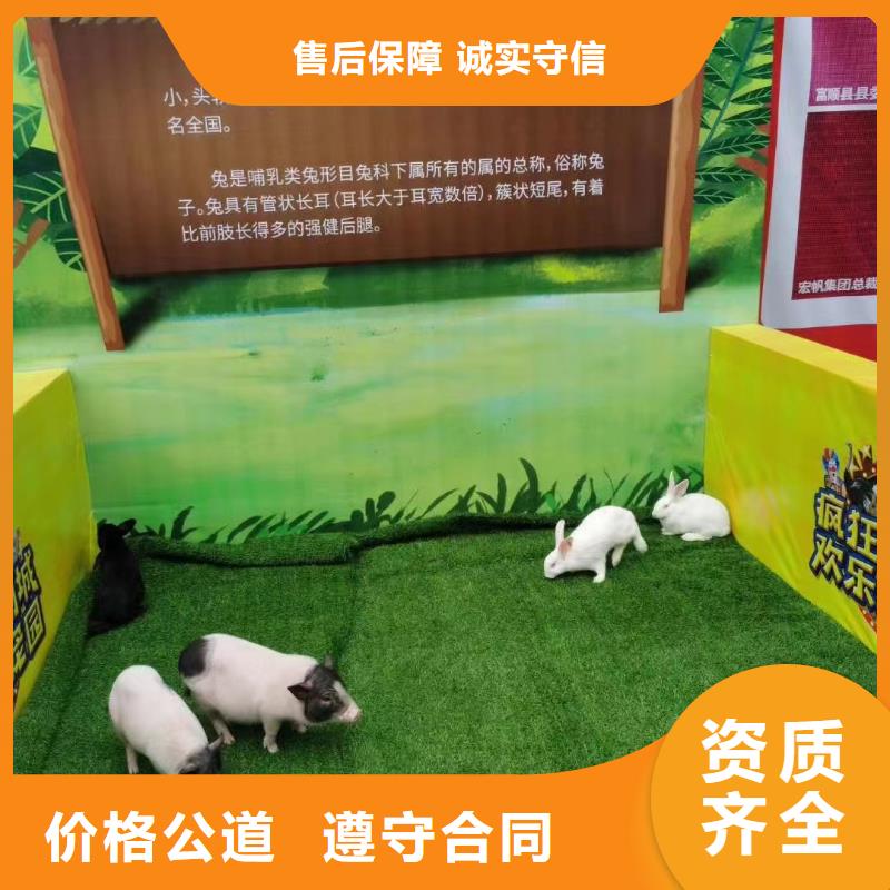羊驼出租图片