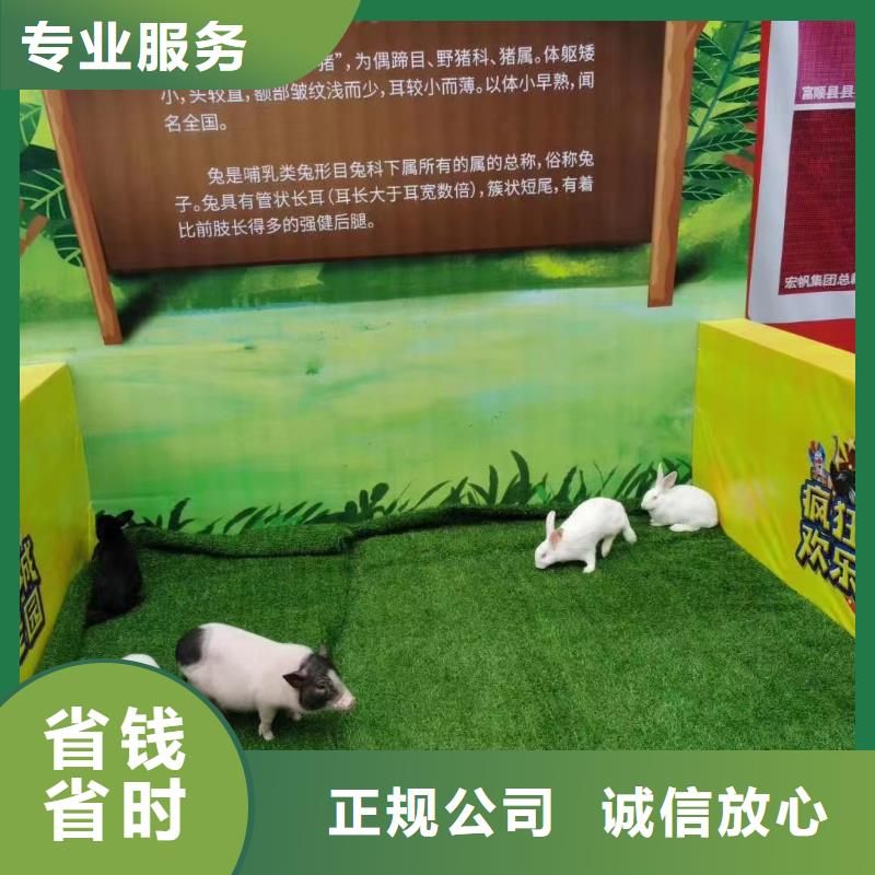 出租马戏团表演公司正规厂家