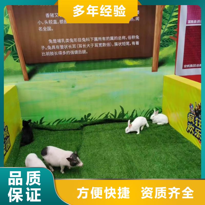 哪里有租赁动物的