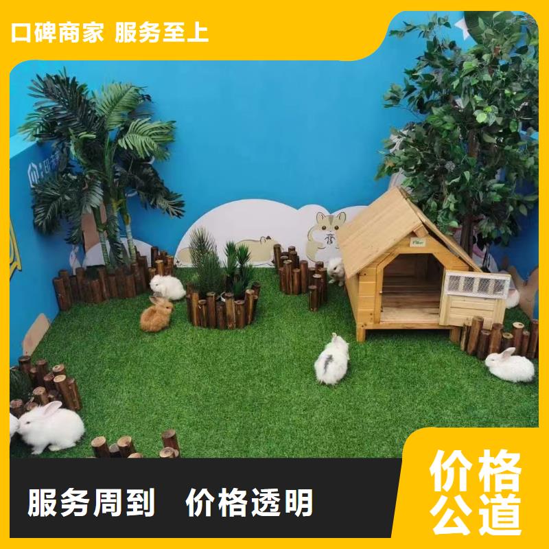 哪有租赁羊驼的免费策划
