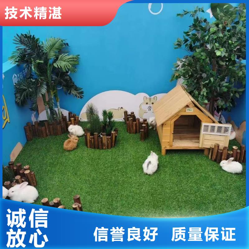动物表演租赁节日活动