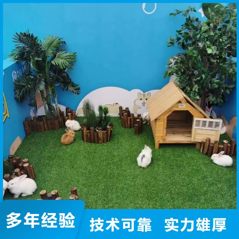 羊驼出租联系方式