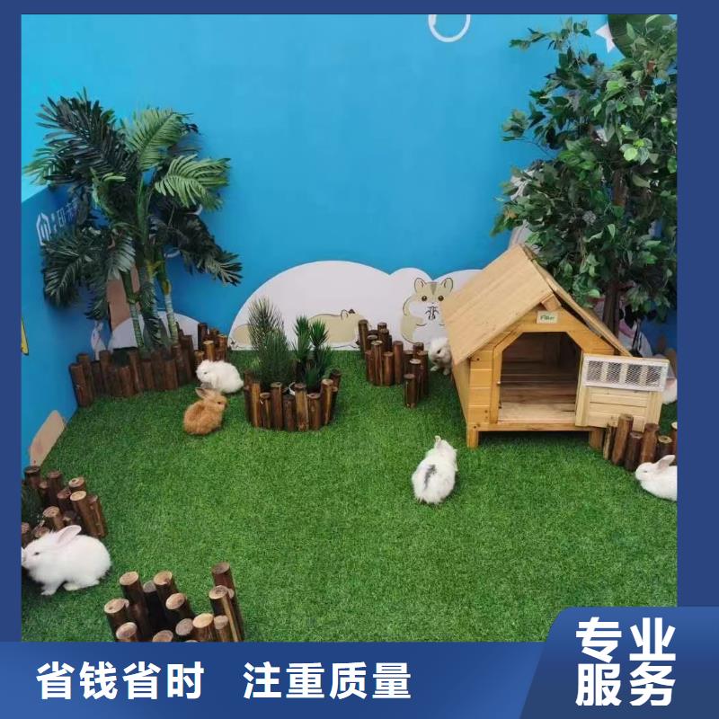 动物表演租赁全国承接