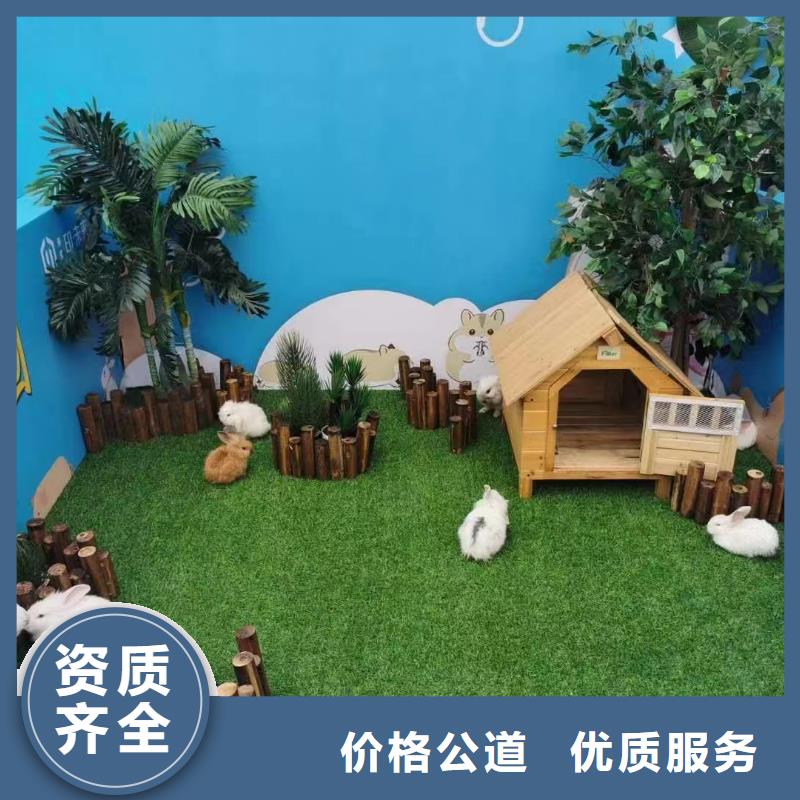 萌宠展出租一手资源