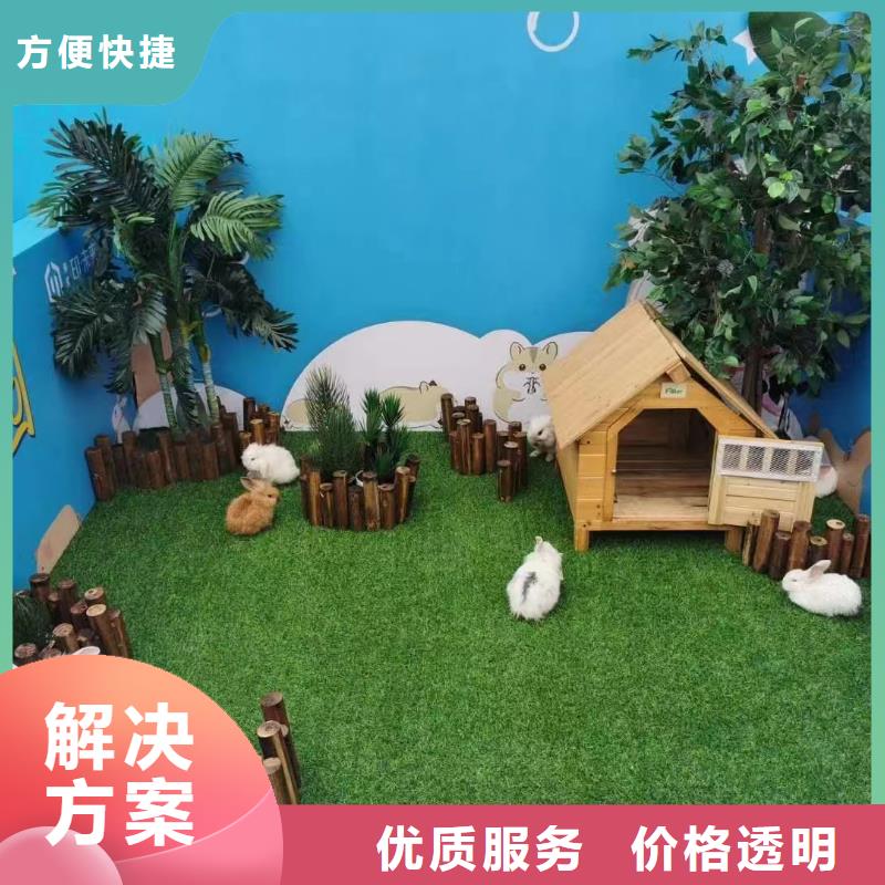 马戏团/羊驼企鹅出租表演解决方案