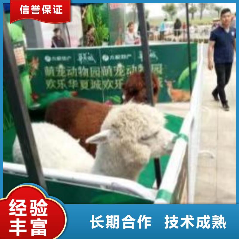 马戏团表演出租一手资源