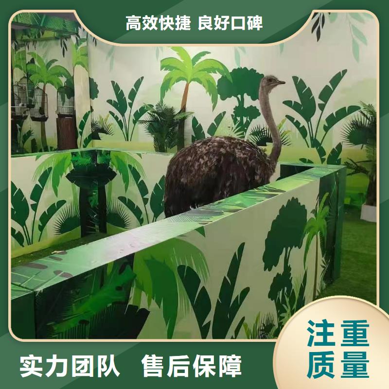 哪有出租马戏团的查看图片