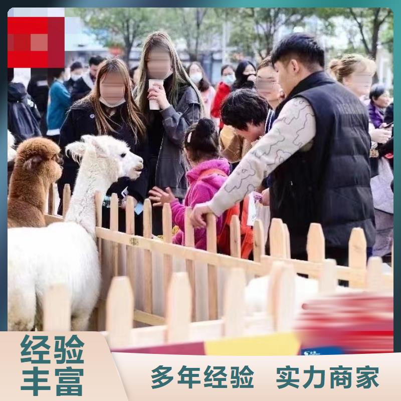 动物租赁图片案例
