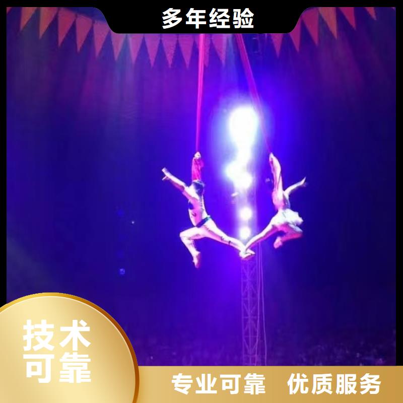 马戏团/羊驼马戏团表演有实力