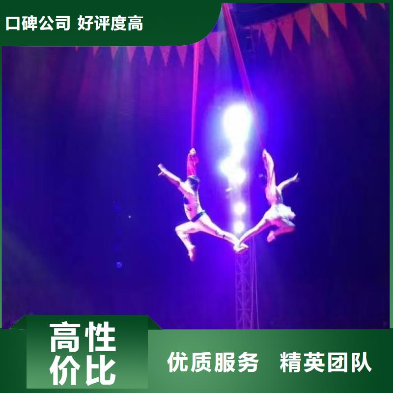 马戏团/羊驼【马戏团表演出租租赁】多年行业经验