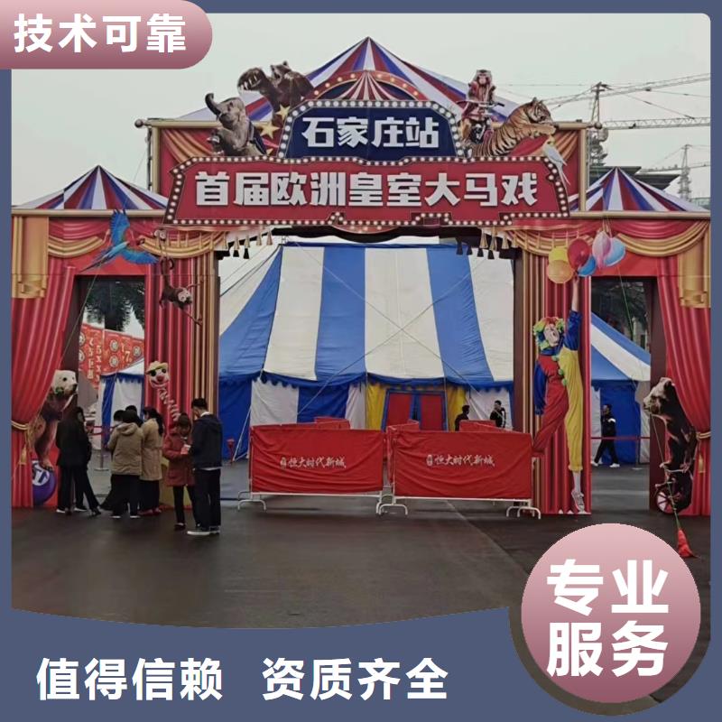 羊驼马戏团表演租赁现货充足