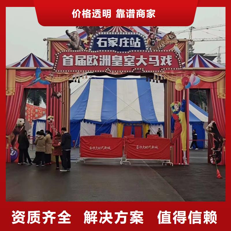 出租羊驼节日活动