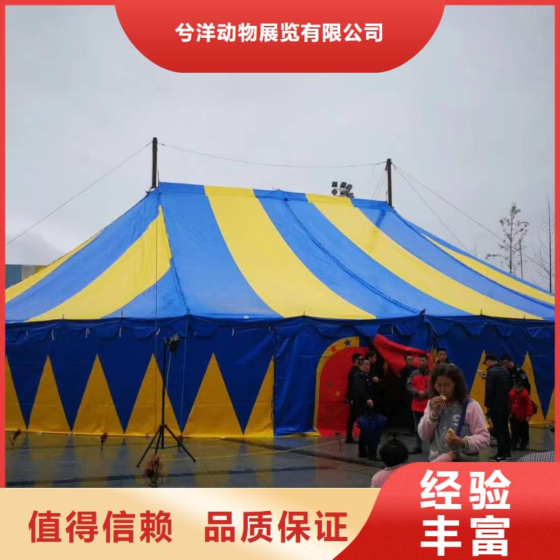 哪有出租羊驼的商场活动
