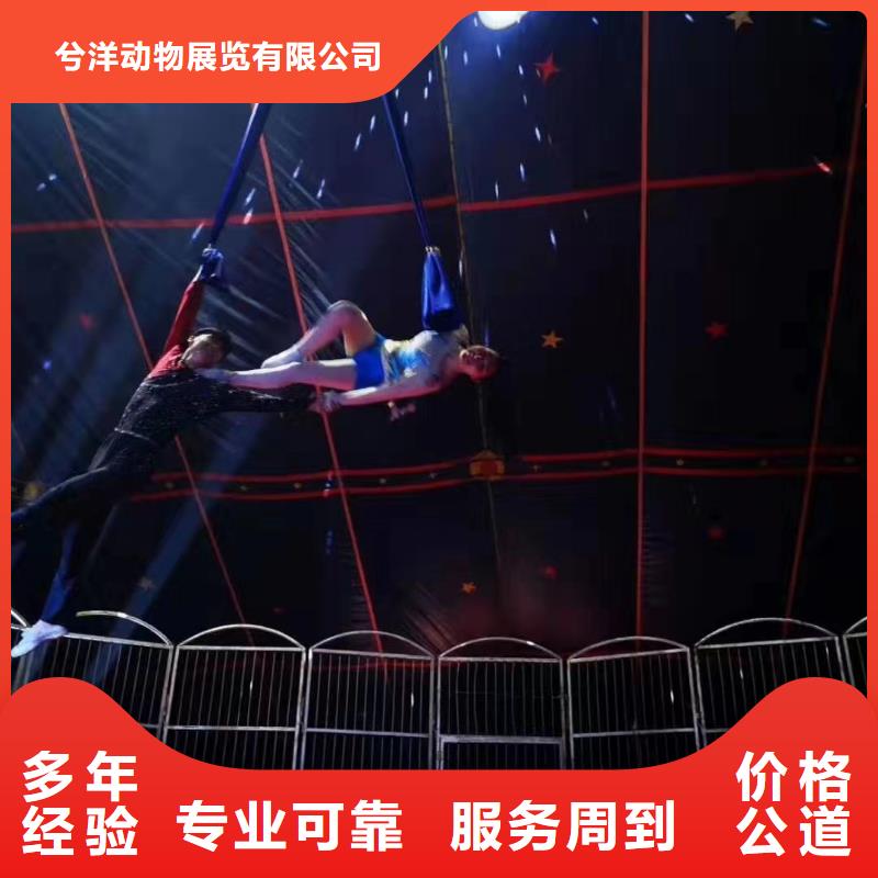 羊驼租赁公司