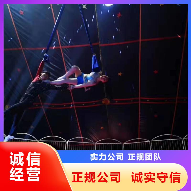羊驼租赁公司暖场互动