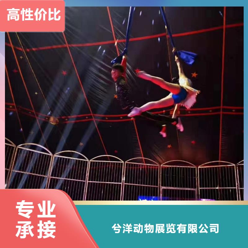 动物表演租赁节日活动