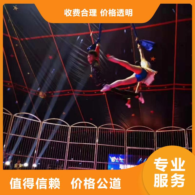 哪里有出租羊驼的暖场活动
