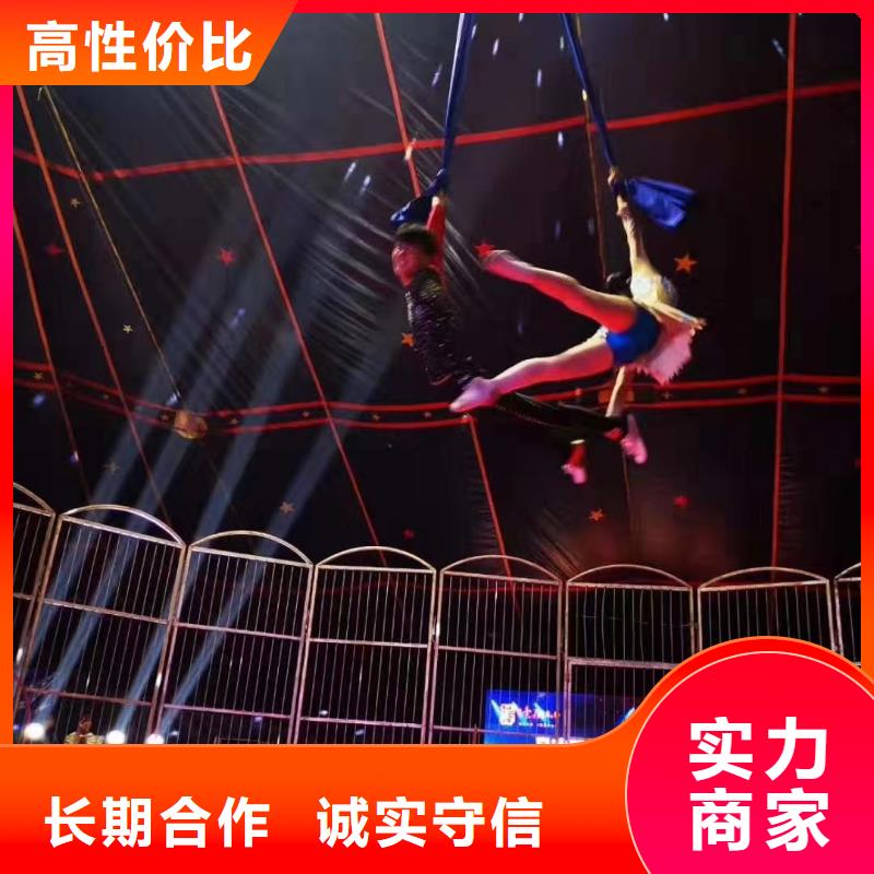 【马戏团/羊驼【出租海狮表演】齐全】