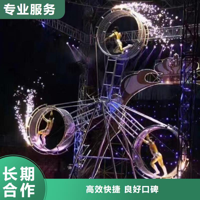 哪有出租羊驼的点击图片