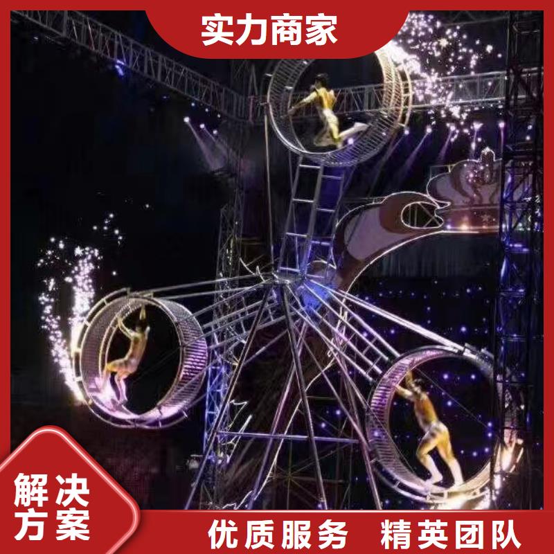哪有租赁羊驼的免费策划