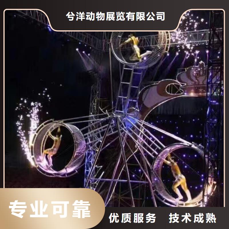 马戏团/羊驼出租表演鹦鹉高品质