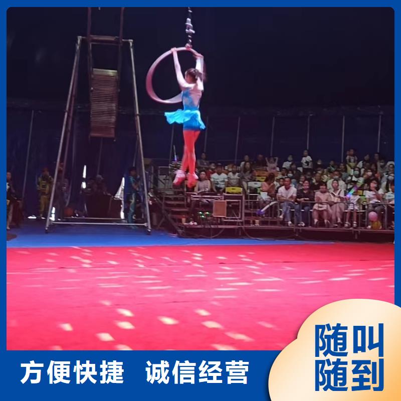 附近羊驼出租公司联系方式