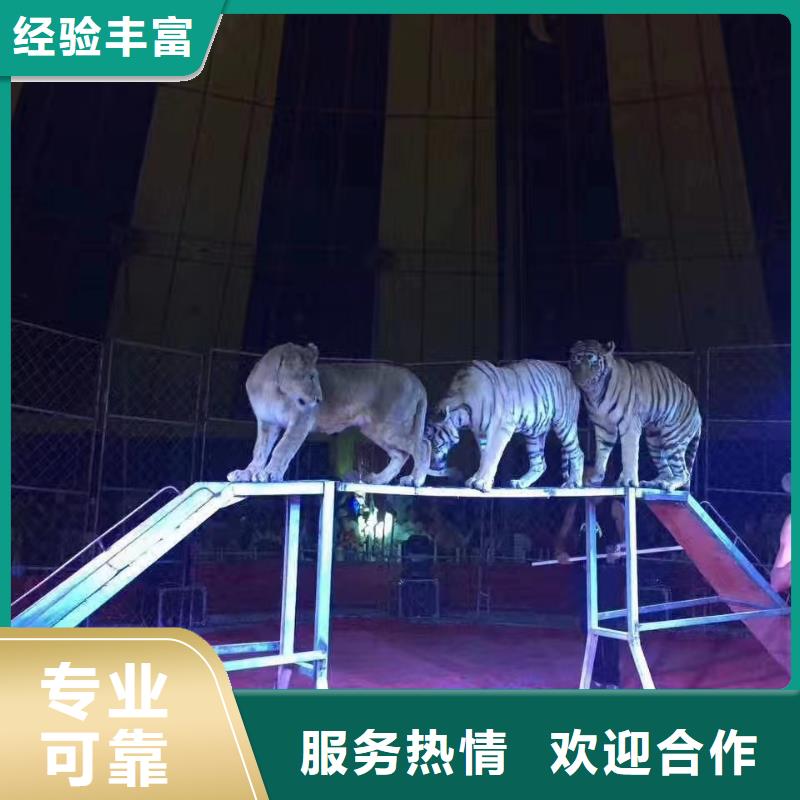 动物表演出租