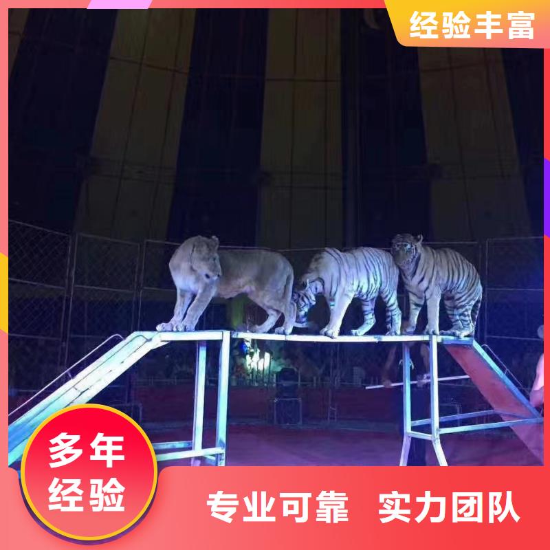 百鸟展出租厂家