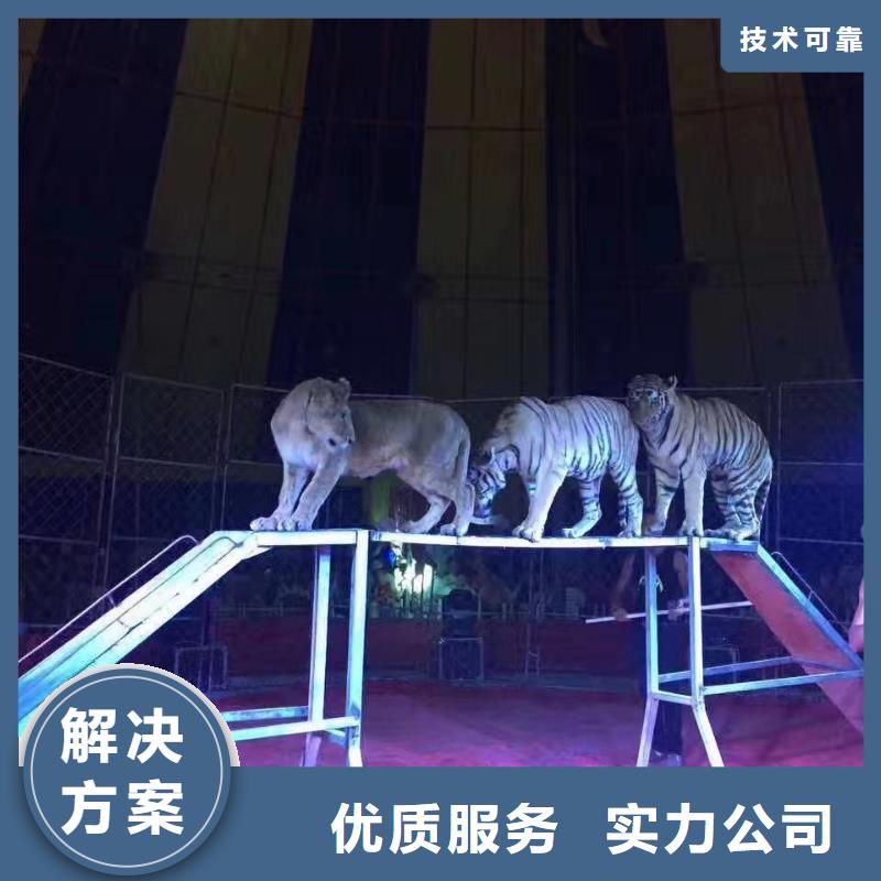 萌宠展出租附近