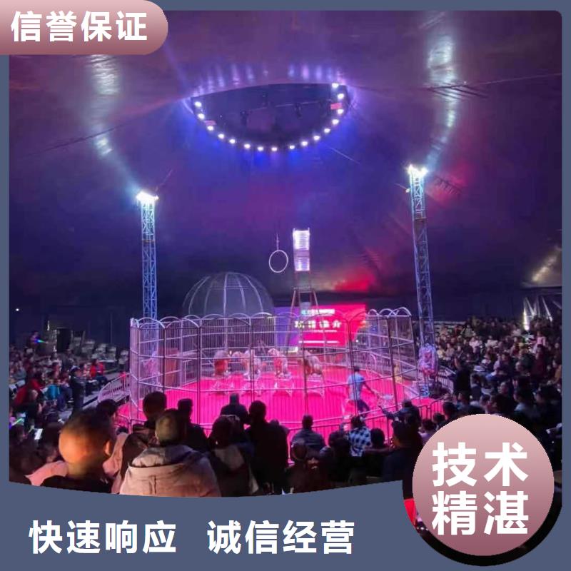 哪里有出租马戏团表演的联系方式