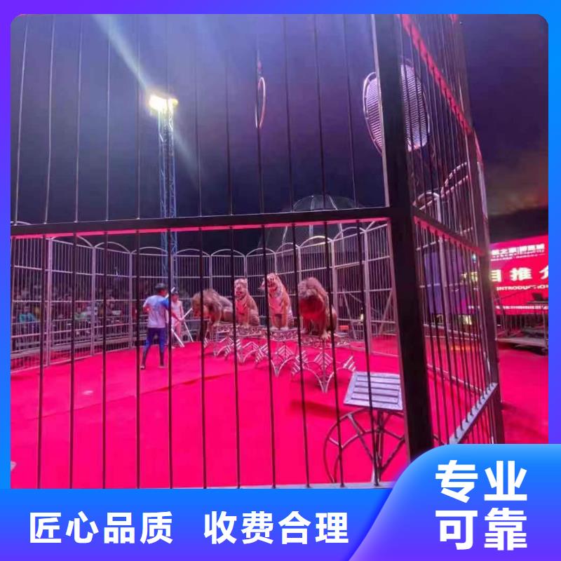 哪里有出租动物的丰富多彩