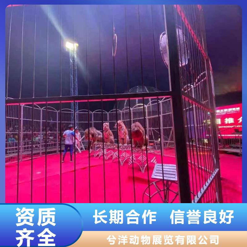 附近动物表演出租