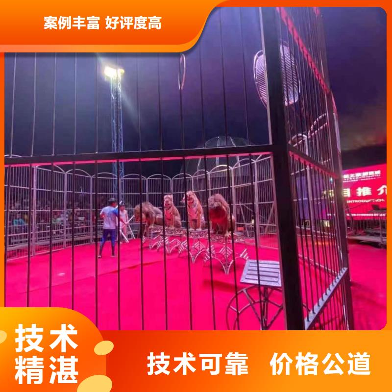 哪里有出租羊驼的点击查看