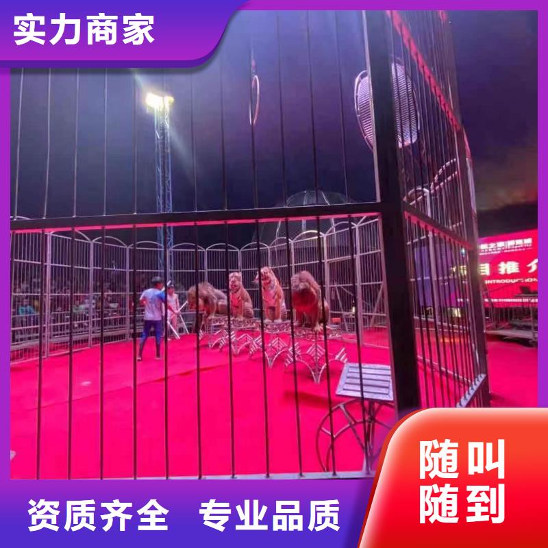 附近羊驼出租公司公司电话