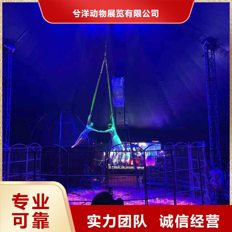 马戏团表演出租一手资源