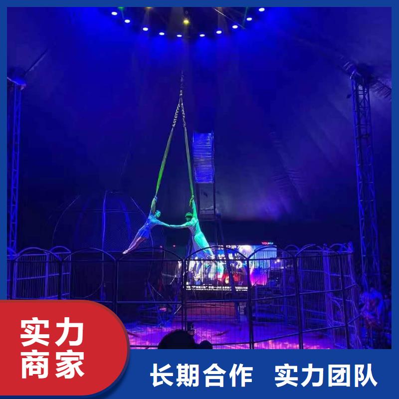 出租羊驼节日活动