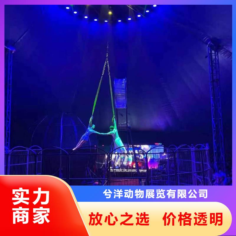 动物表演出租一手资源
