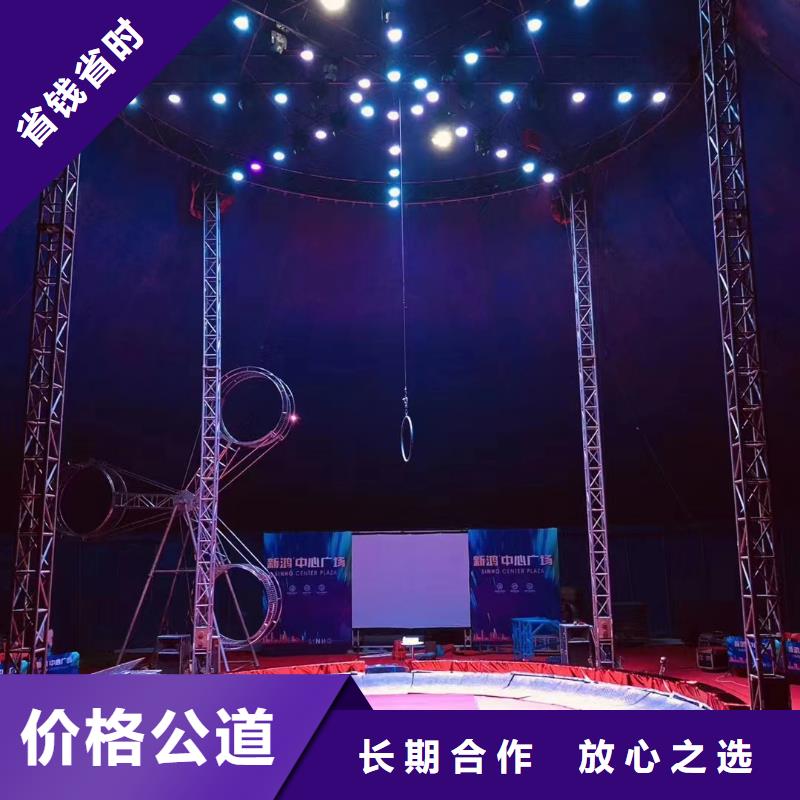 羊驼出租可定制厂家