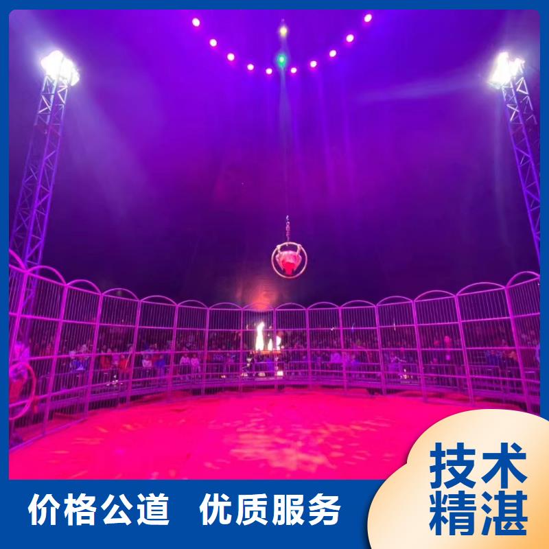 哪有出租羊驼的活动方案