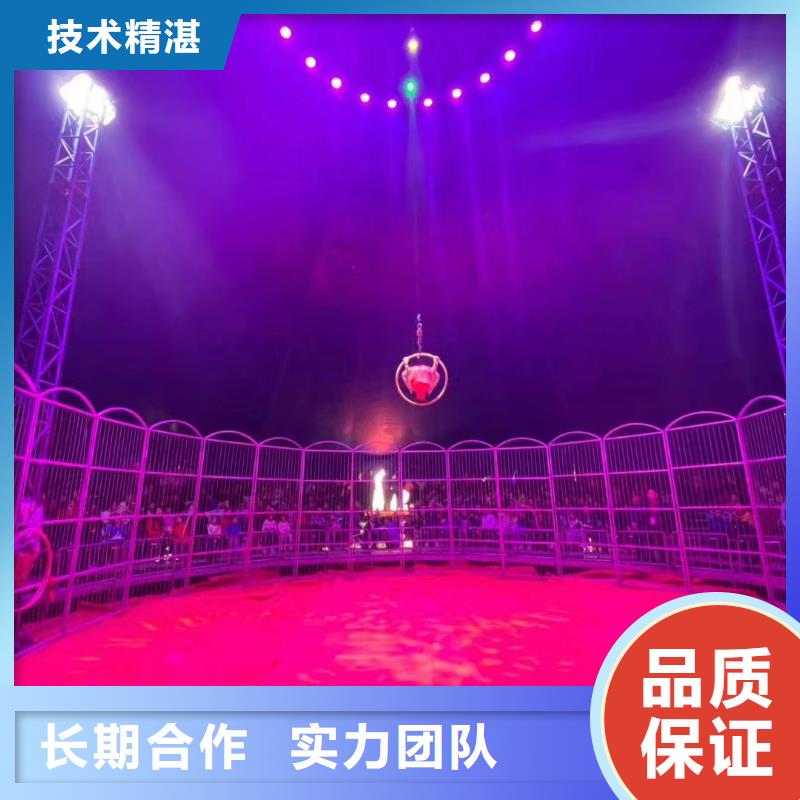 动物表演出租