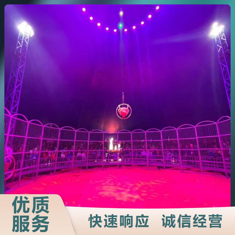 环球飞车表演租赁