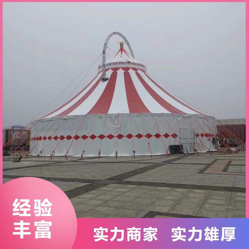 哪有出租羊驼的商场活动